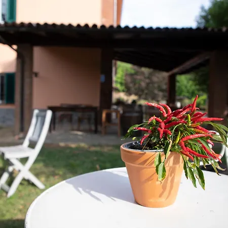 Country Boutique Paradiso 3* Valmadonna