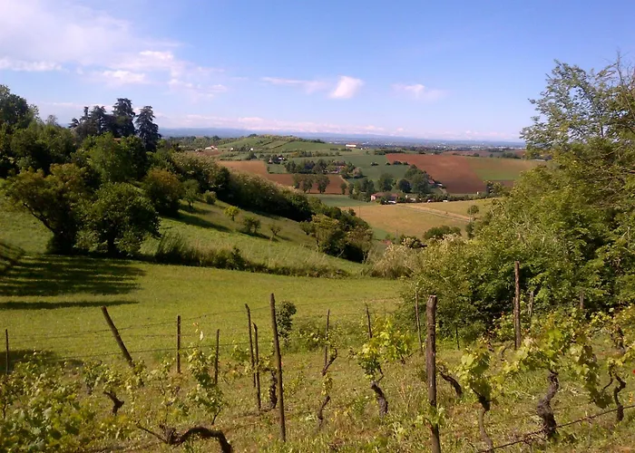 Country Boutique Paradiso 3*